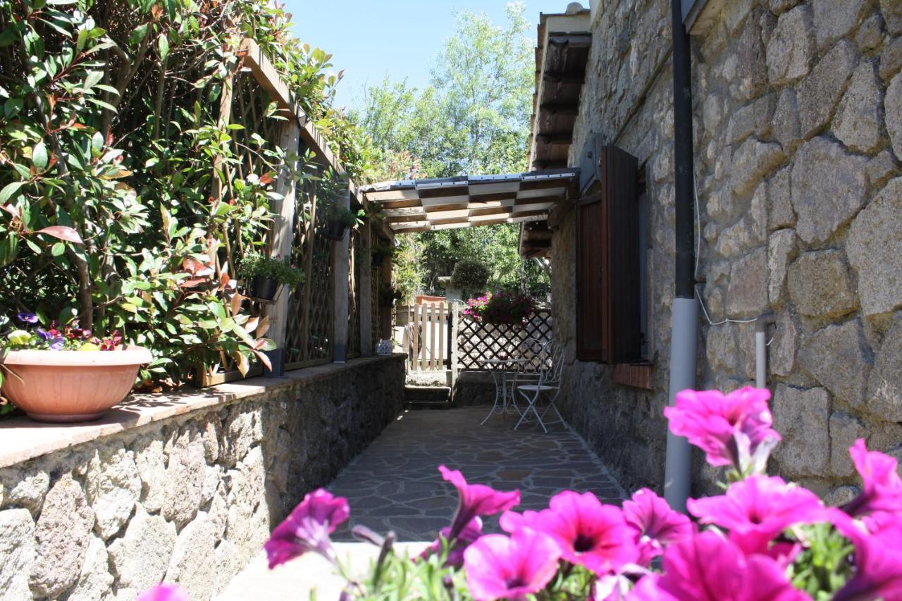 Agriturismo Biagiotti 아바디아산살바토레 외부 사진