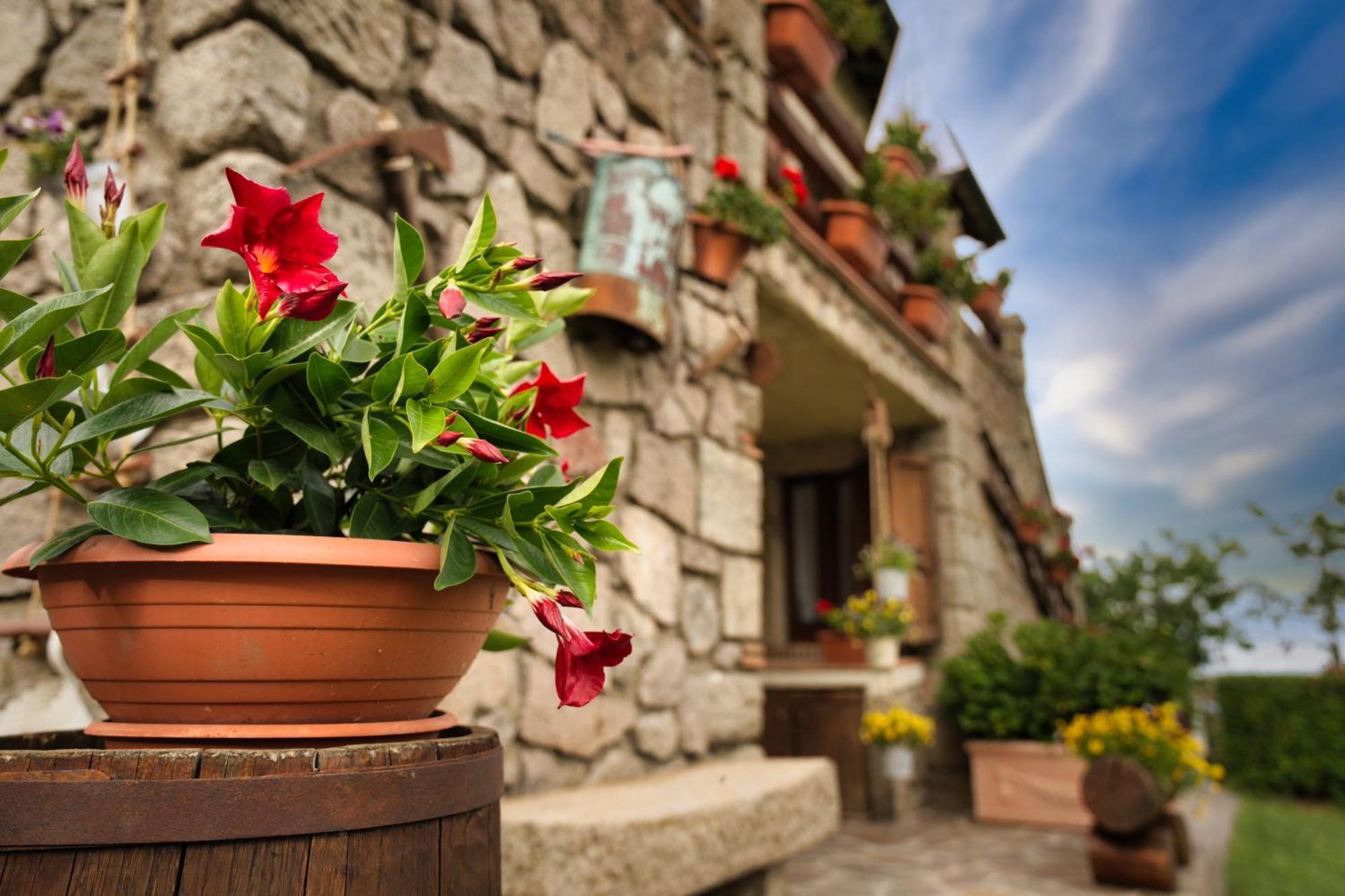 Agriturismo Biagiotti 아바디아산살바토레 외부 사진